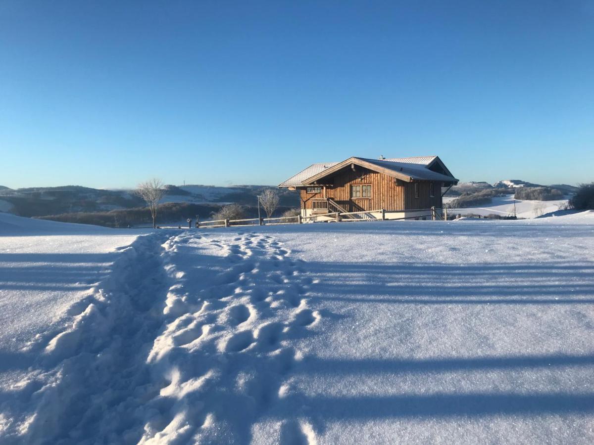 Chalet Bergliebe Brilon Exterior photo