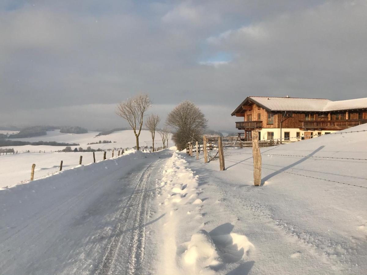 Chalet Bergliebe Brilon Exterior photo